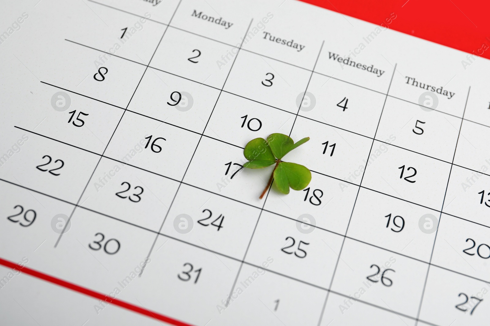 Photo of 17th March marked with fresh clover on calendar. St. Patrick's Day celebration