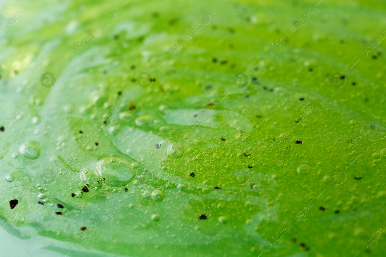 Photo of Texture of green shower gel as background, closeup