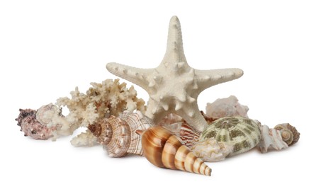 Beautiful starfish, coral and sea shells on white background