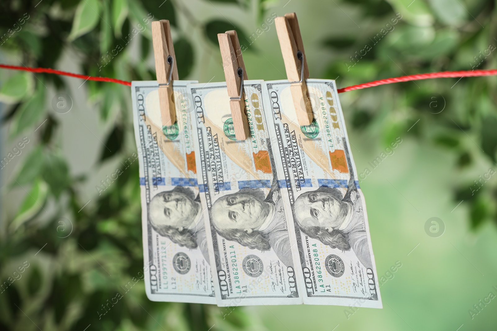 Photo of Dollar banknotes hanging on rope against blurred green background