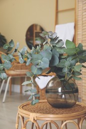 Photo of Beautiful eucalyptus branches in glass vase on wicker table indoors. Interior design