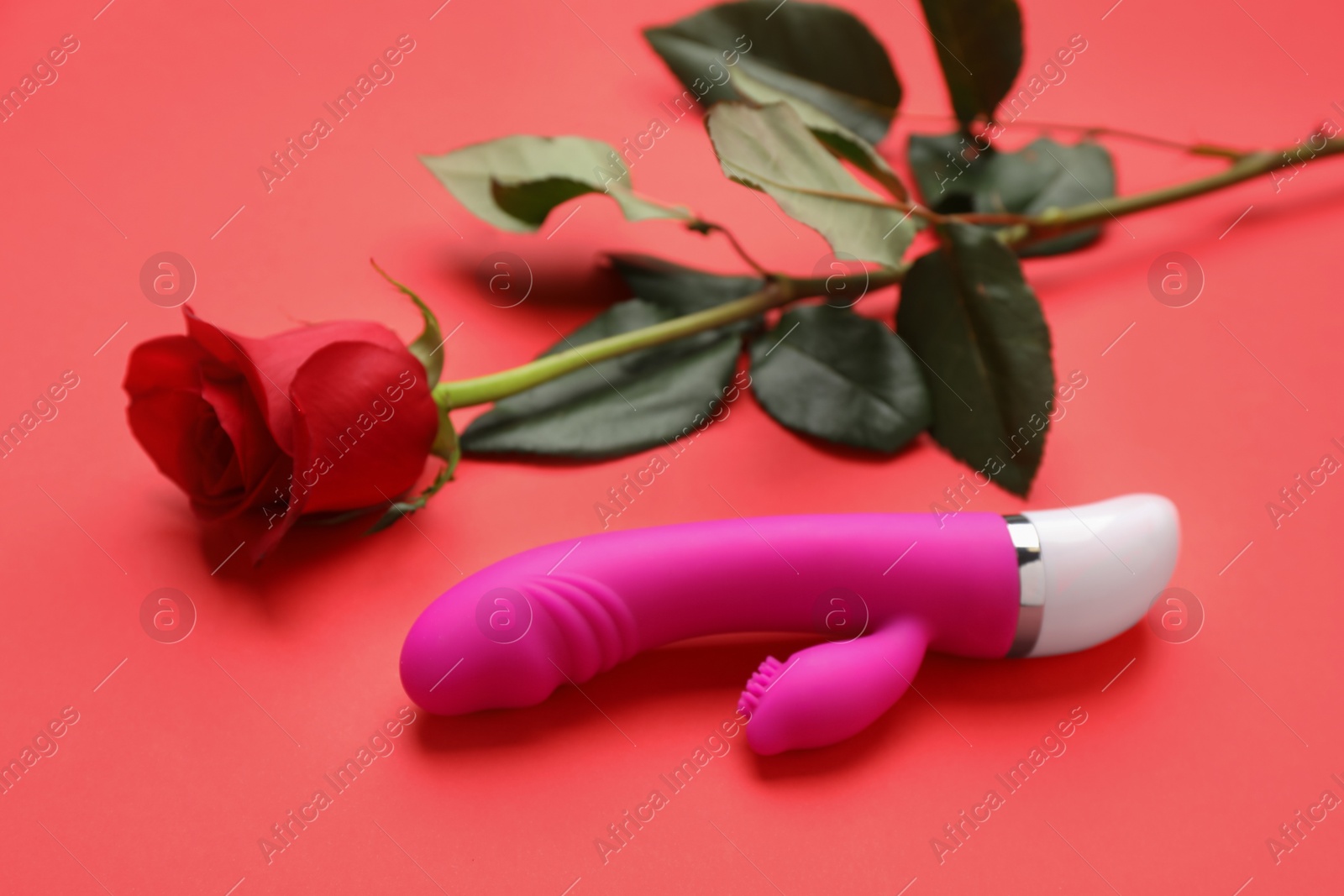 Photo of Pink vaginal vibrator and rose on red background