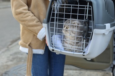 Photo of Woman holding carrier with cute Scottish fold cat outdoors, closeup