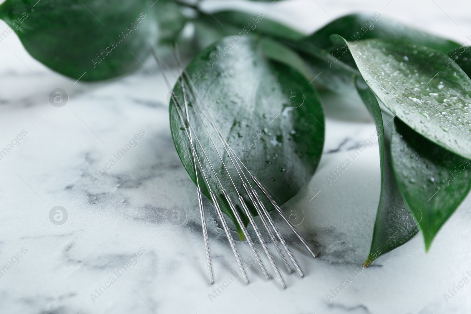 Photo of Acupuncture needles and wet green leaves on white marble table, closeup. Space for text