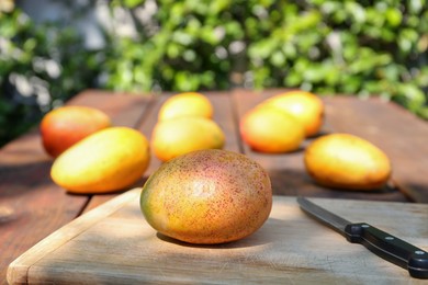 Tasty mango and knife on wooden board outdoors