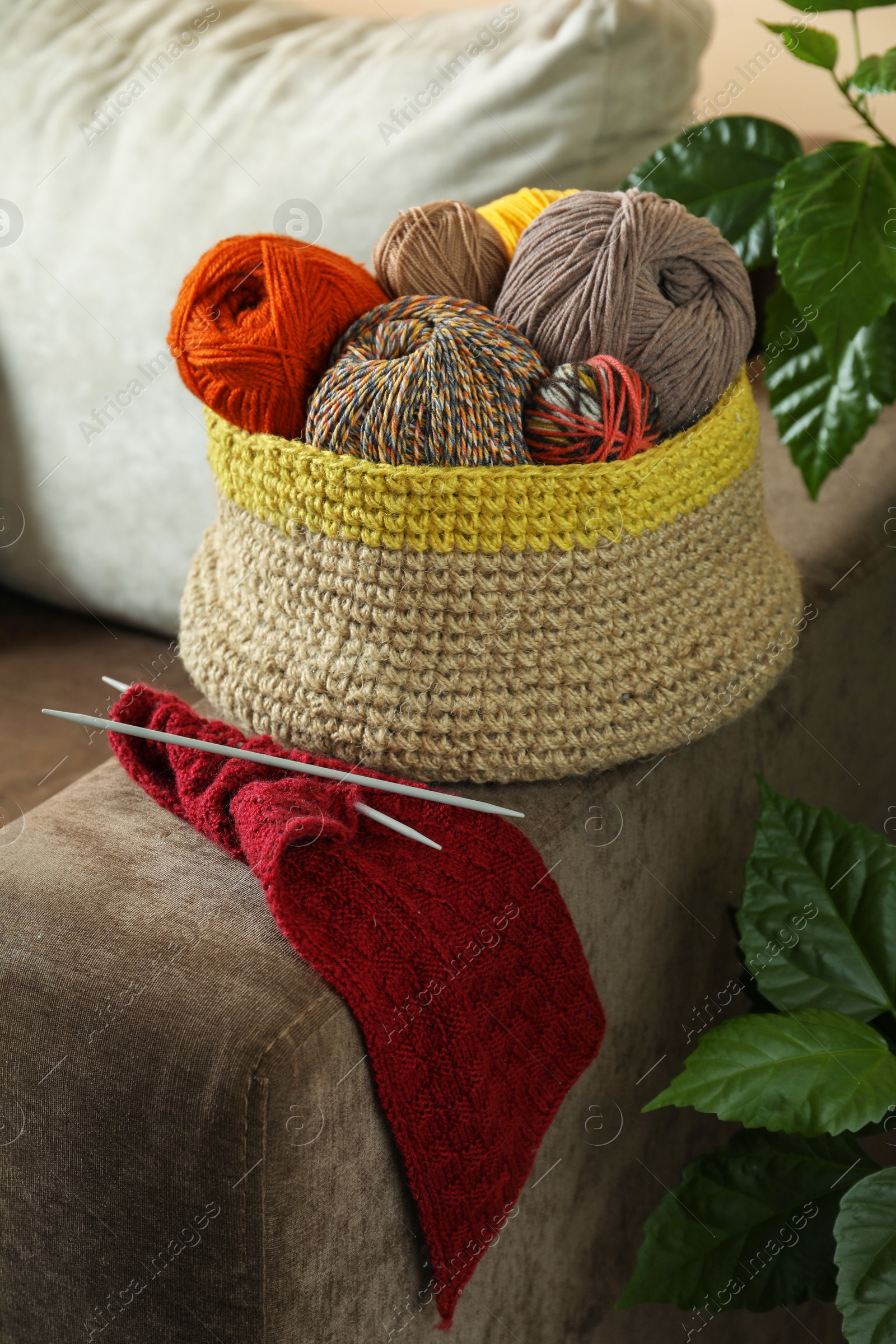 Photo of Soft woolen yarns, knitting and needles on brown sofa indoors