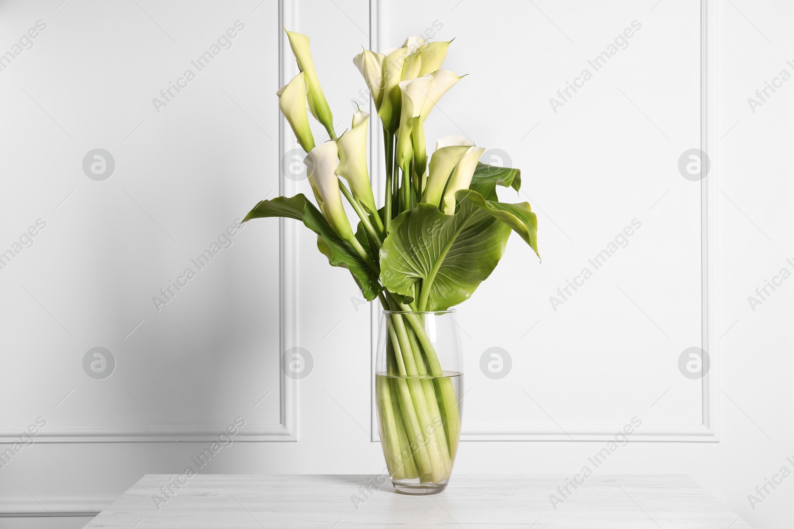 Photo of Beautiful calla lily flowers in vase on table