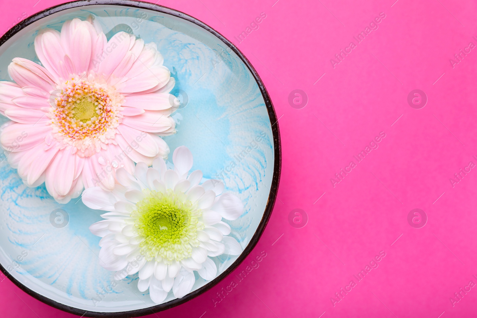 Photo of Beautiful composition with bowl of water and flowers on pink background, top view with space for text. Spa treatment