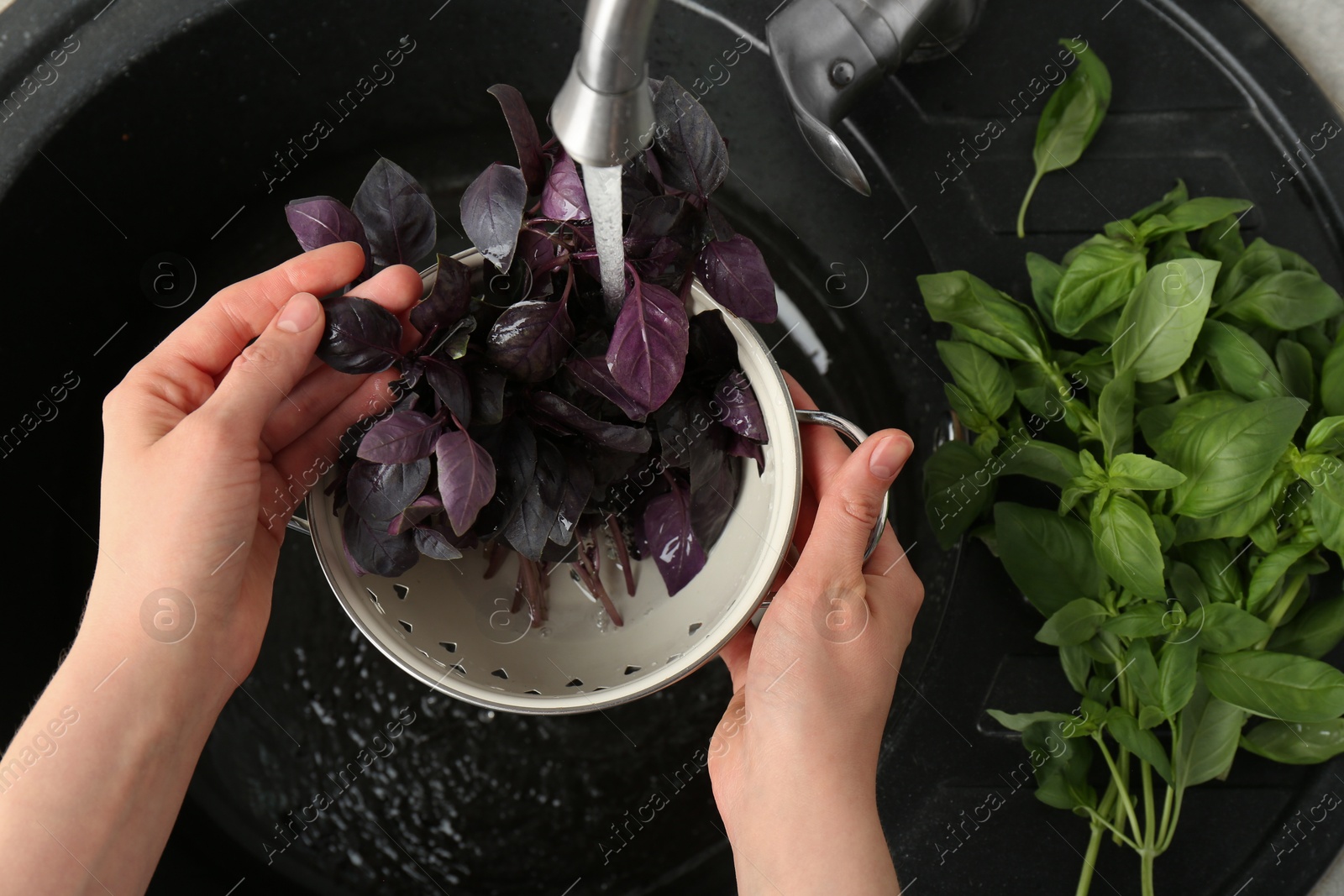 Photo of Woman washing fresh basil leaves under tap water in metal colander above sink, top view