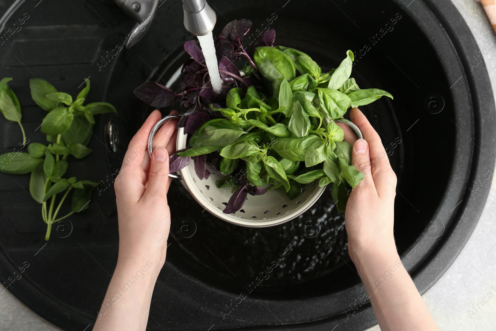 Photo of Woman washing different fresh basil leaves under tap water in metal colander above sink, top view