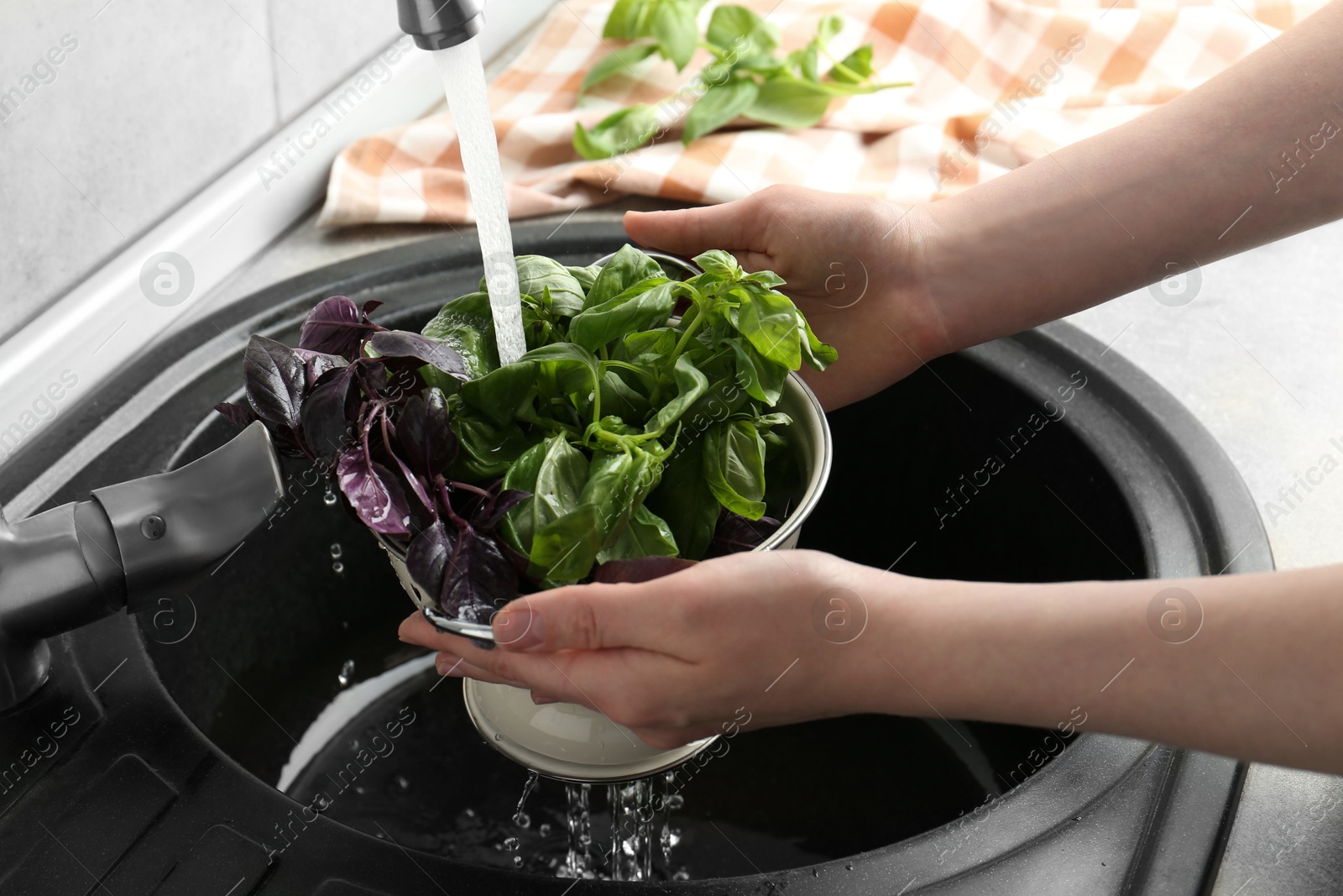 Photo of Woman washing different fresh basil leaves under tap water in metal colander above sink, closeup