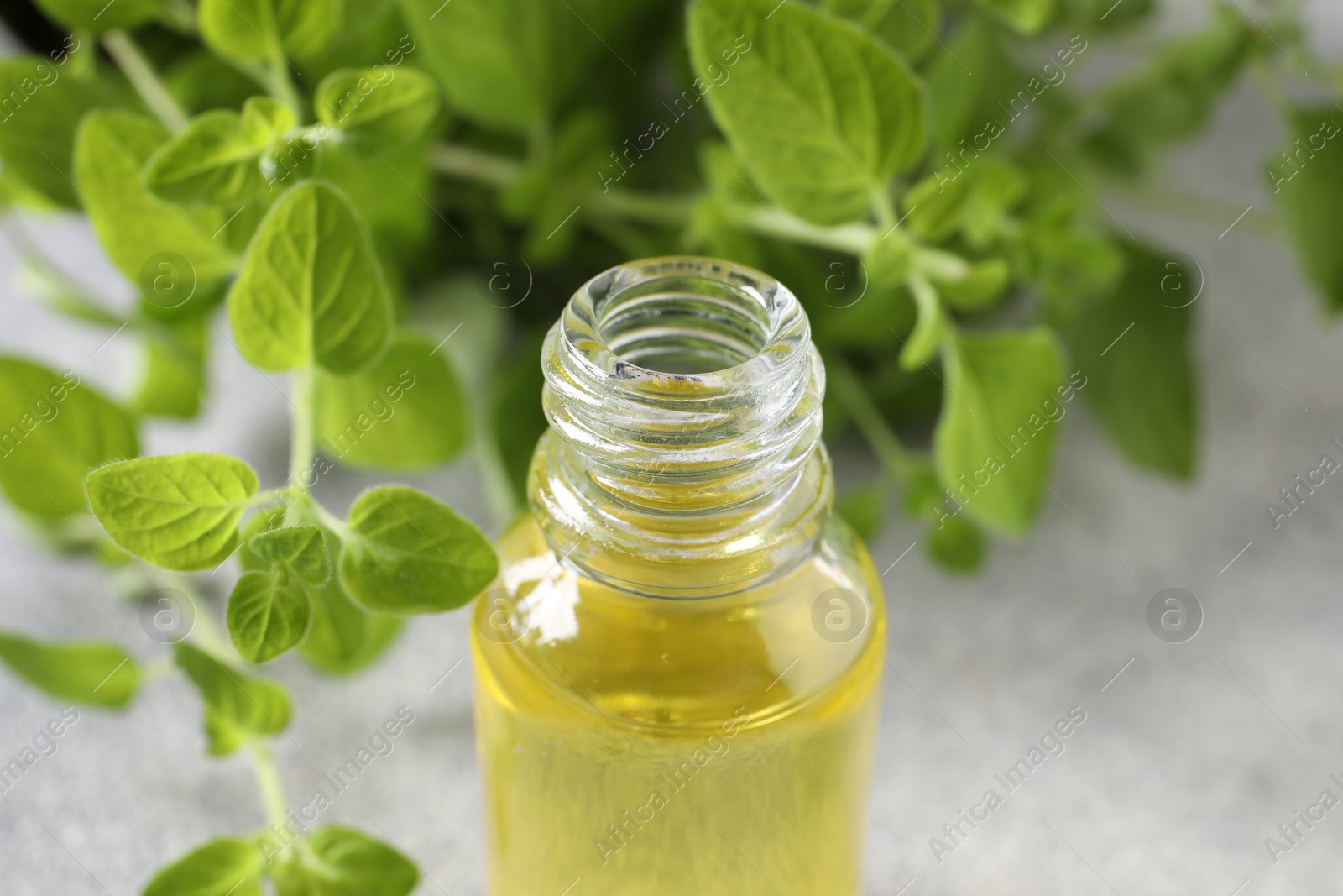 Photo of Essential oil in bottle and oregano leaves on light grey table, closeup