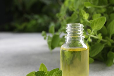 Essential oil in bottle and oregano leaves on light grey table, closeup. Space for text