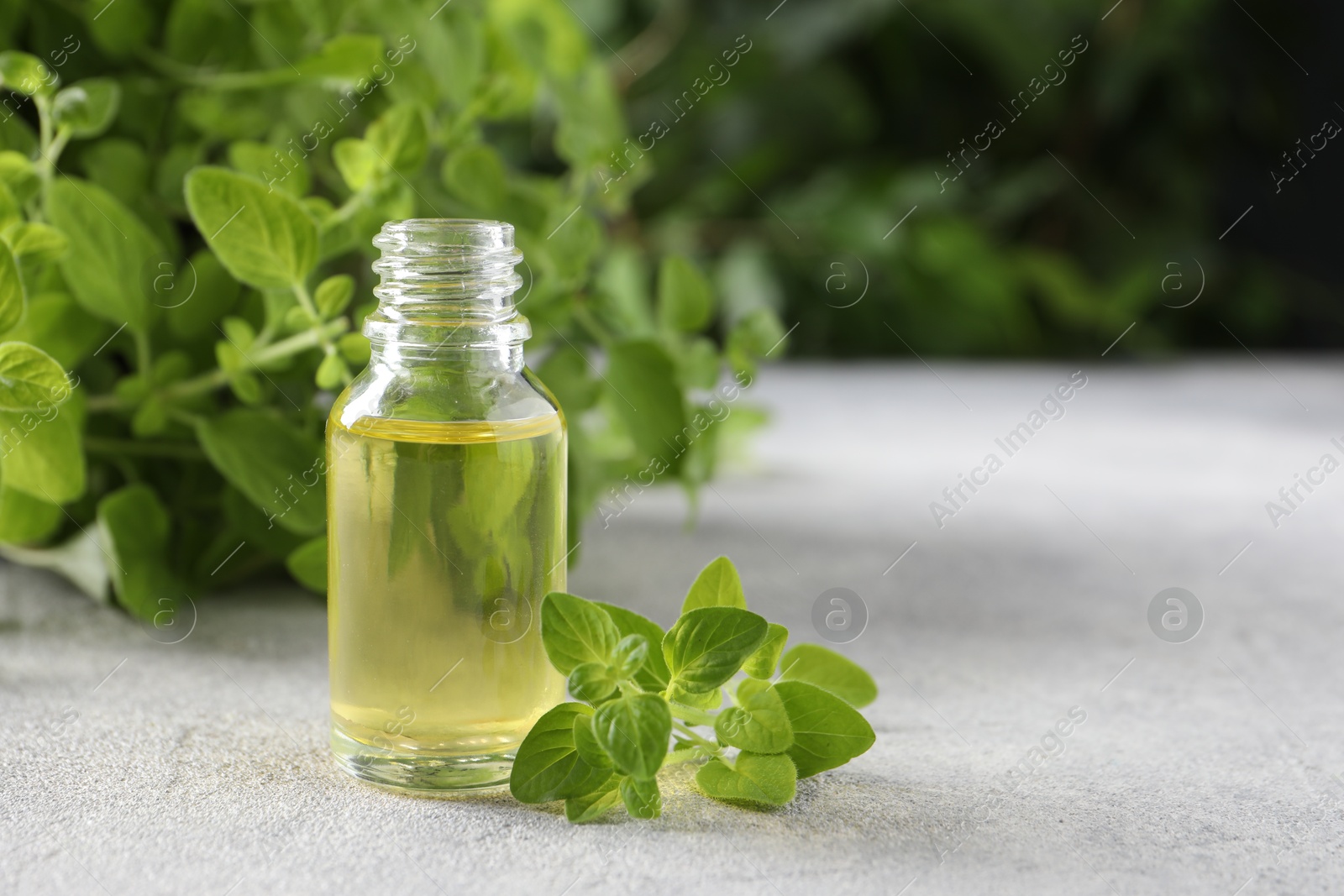 Photo of Essential oil in bottle and oregano leaves on light grey textured table, closeup. Space for text