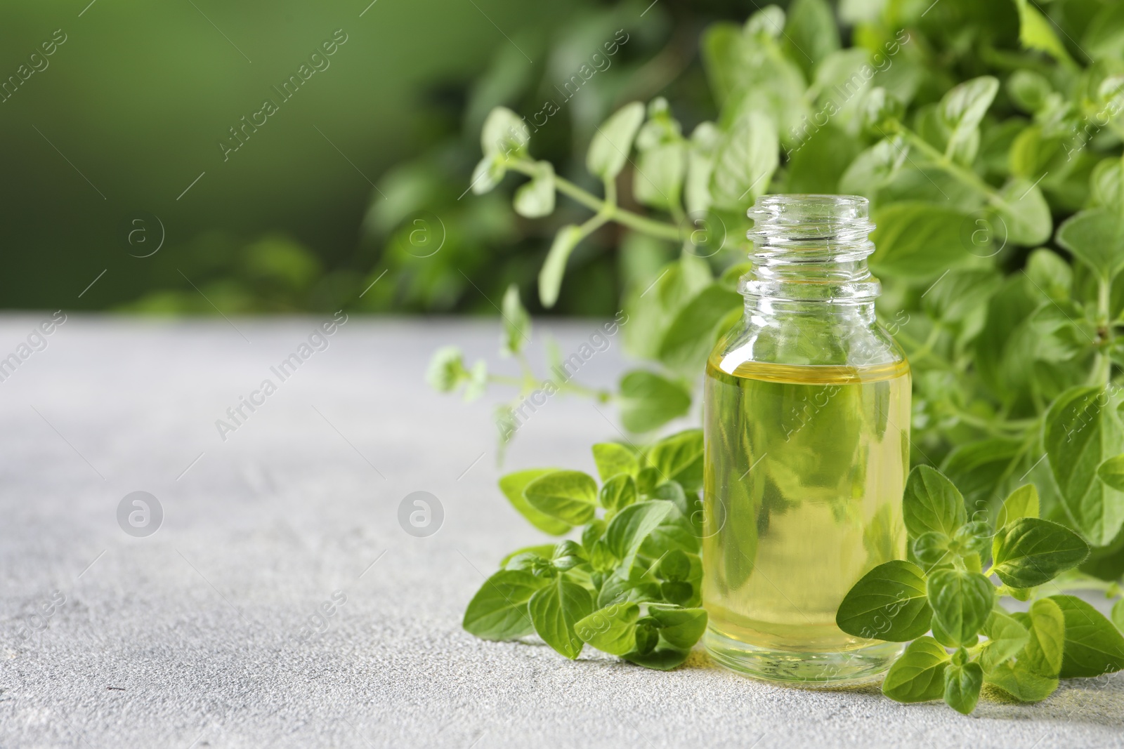 Photo of Essential oil in bottle and oregano leaves on light grey textured table, closeup. Space for text