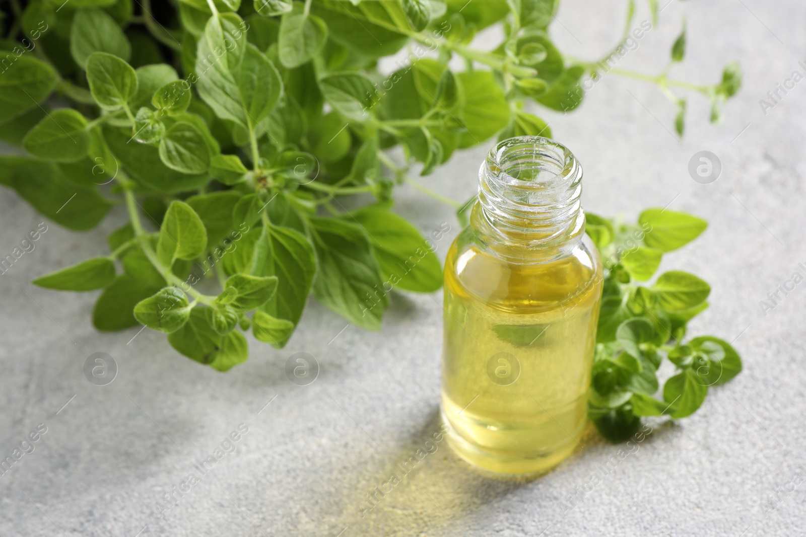 Photo of Essential oil in bottle and oregano leaves on light grey textured table, closeup