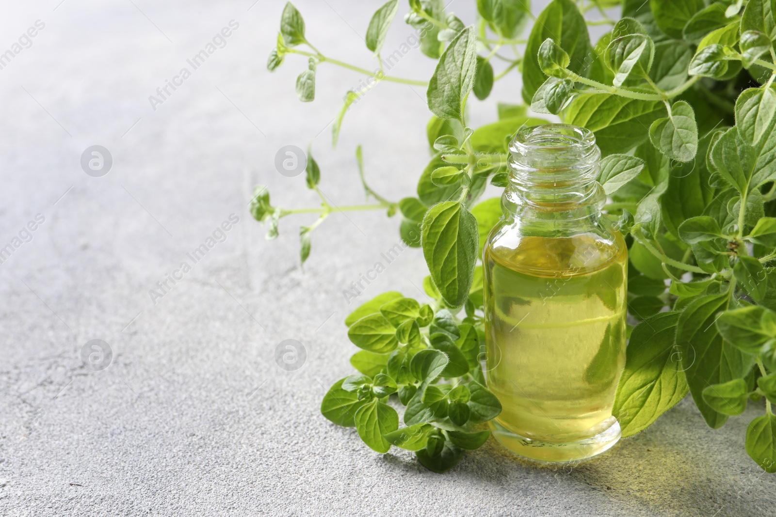 Photo of Essential oil in bottle and oregano leaves on light grey textured table, closeup. Space for text