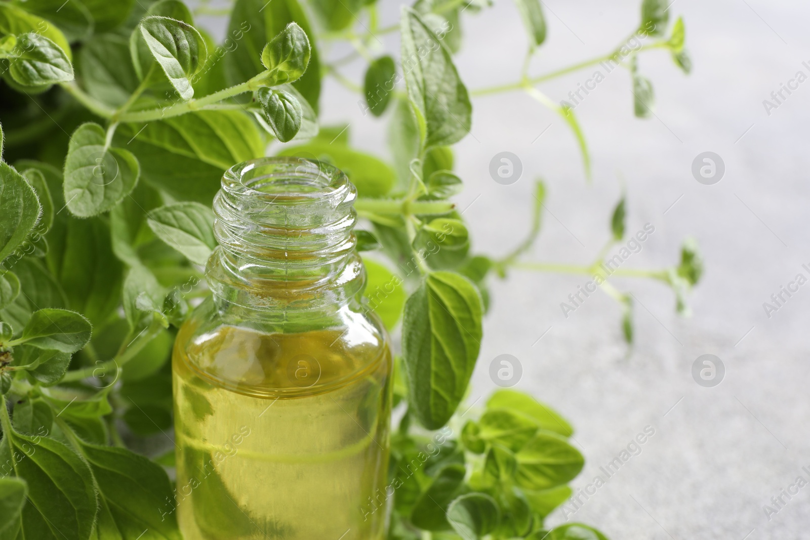 Photo of Essential oil in bottle and oregano leaves on light grey table, closeup