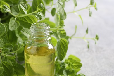 Photo of Essential oil in bottle and oregano leaves on light grey table, closeup