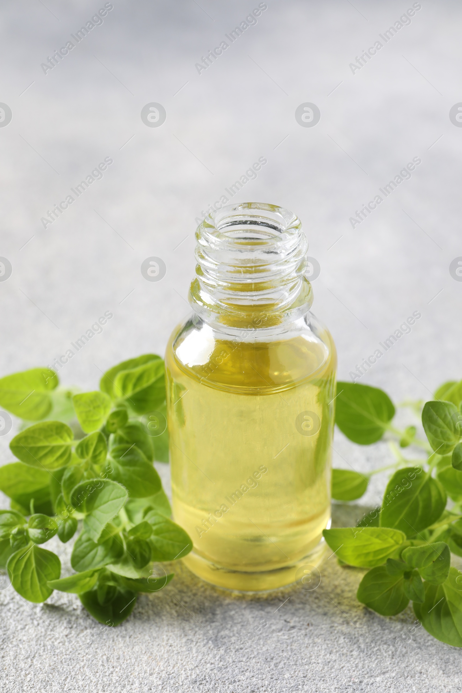 Photo of Essential oil in bottle and oregano leaves on light grey textured table, closeup