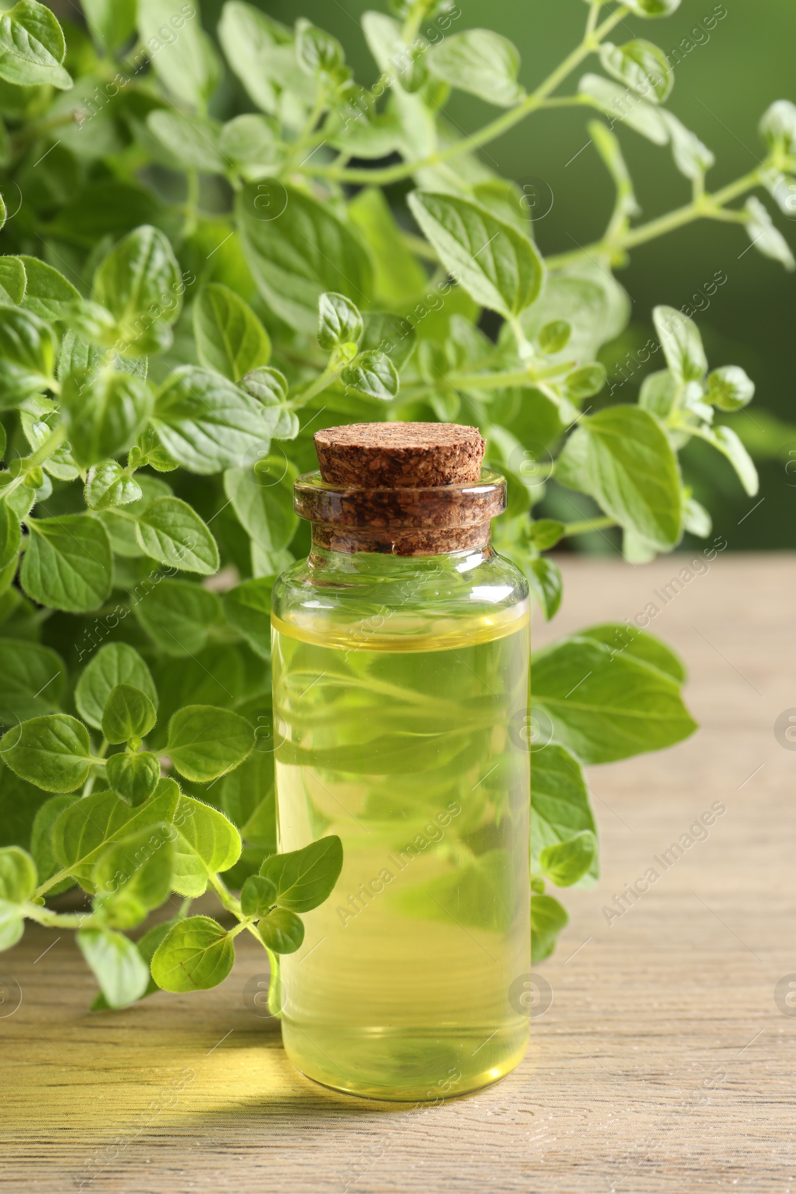 Photo of Essential oil in bottle and oregano leaves on wooden table, closeup