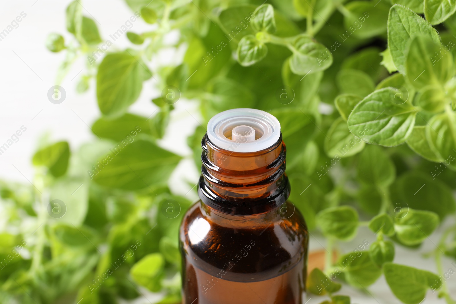 Photo of Essential oil in bottle and oregano leaves on white background, closeup