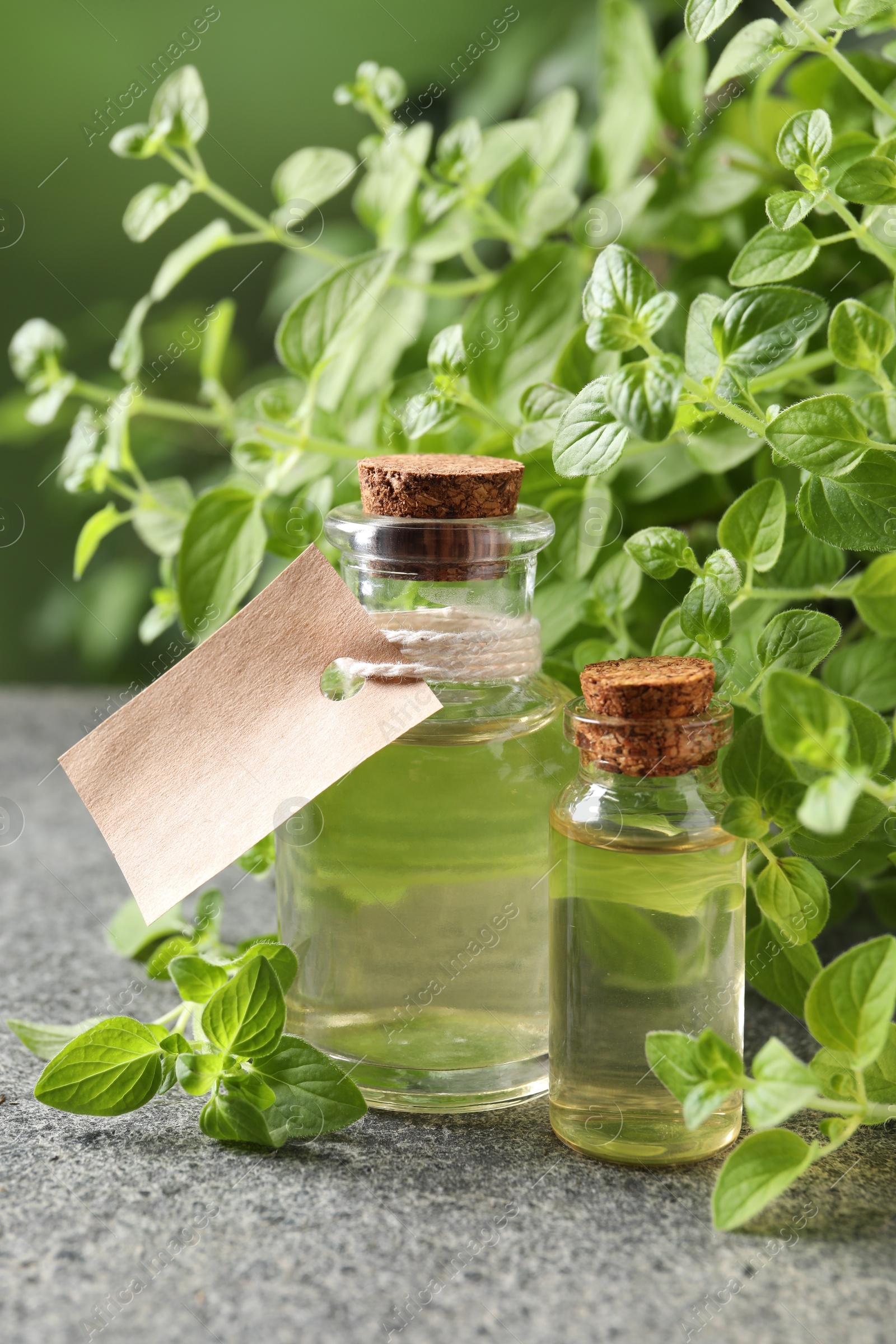 Photo of Essential oil in bottles, empty tag and oregano plant on grey textured table, closeup