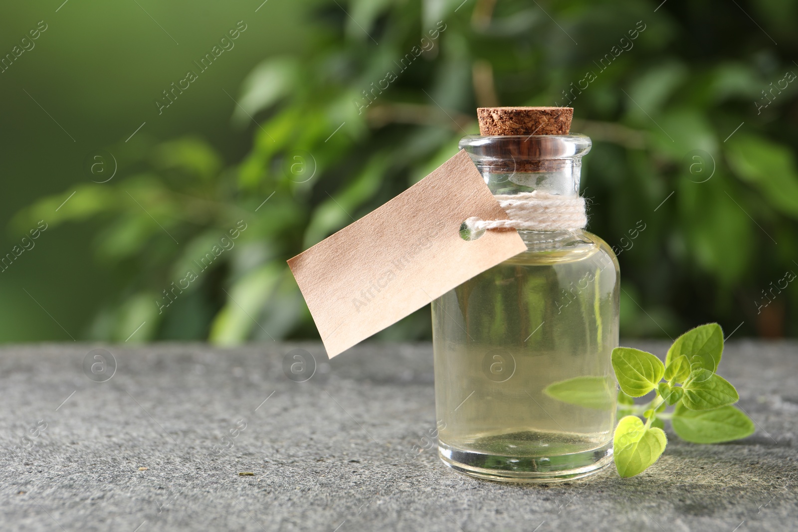 Photo of Essential oil in bottle with empty tag and oregano twig on grey textured table against blurred green background, closeup. Space for text