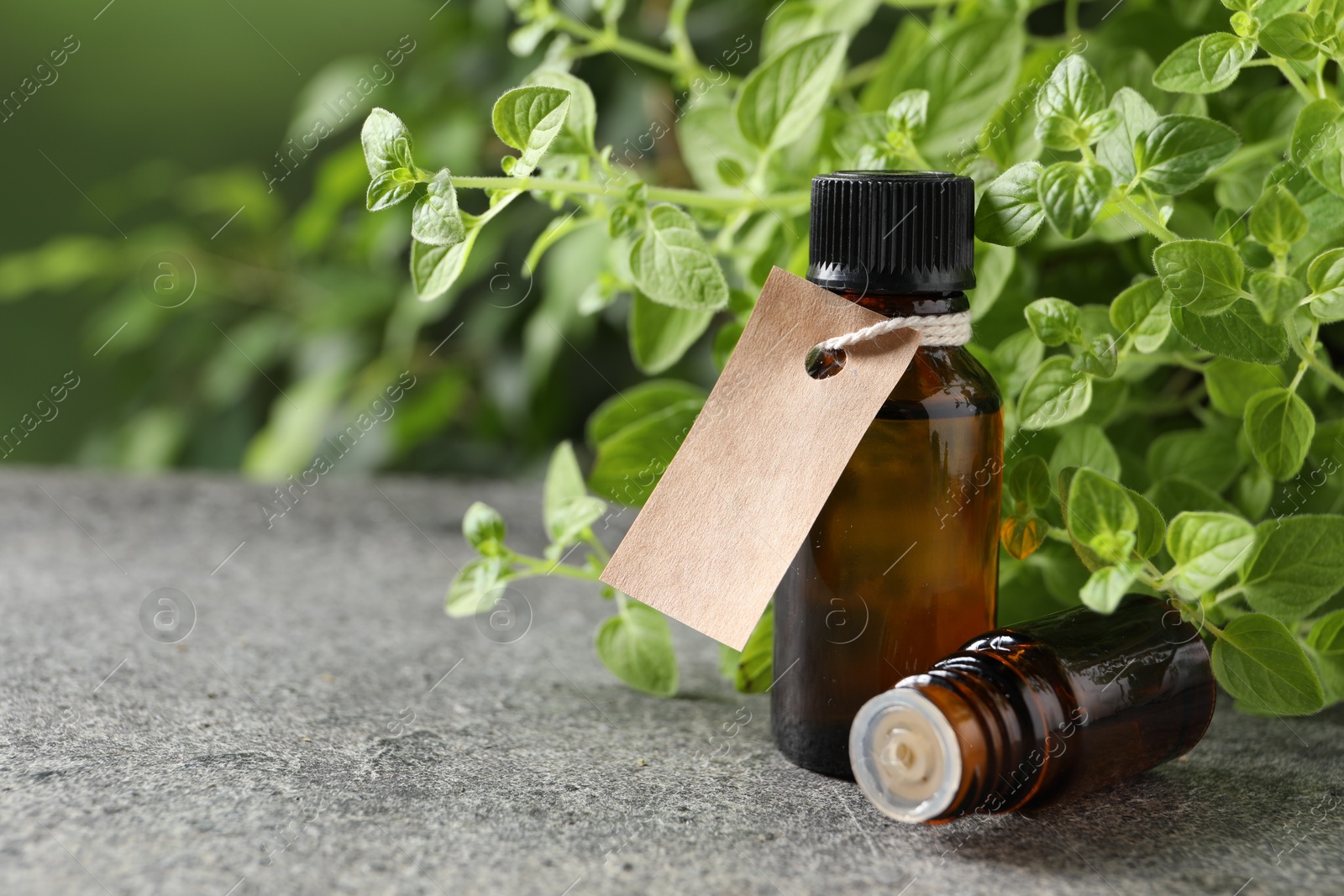 Photo of Essential oil in bottles, empty tag and oregano plant on grey textured table, closeup. Space for text