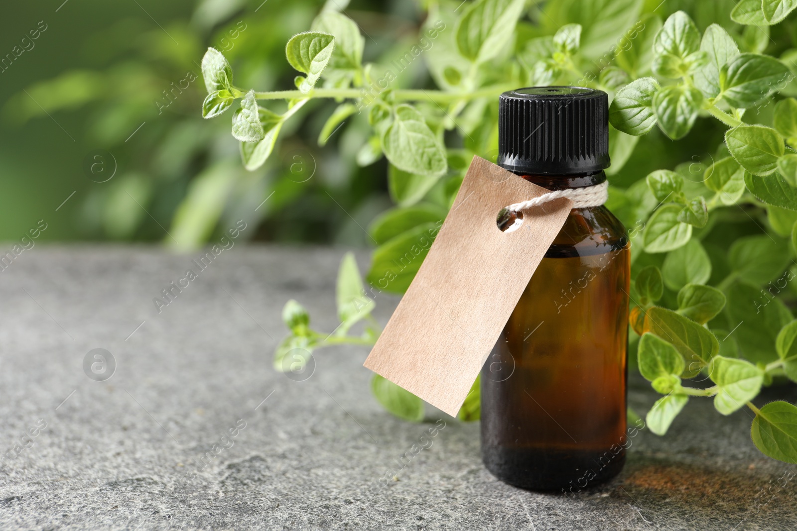 Photo of Essential oil in bottle with empty tag and oregano plant on grey textured table, closeup. Space for text