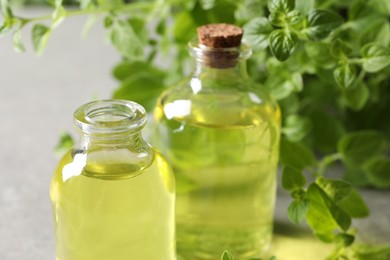 Photo of Essential oil in bottles and oregano twigs on light table, closeup