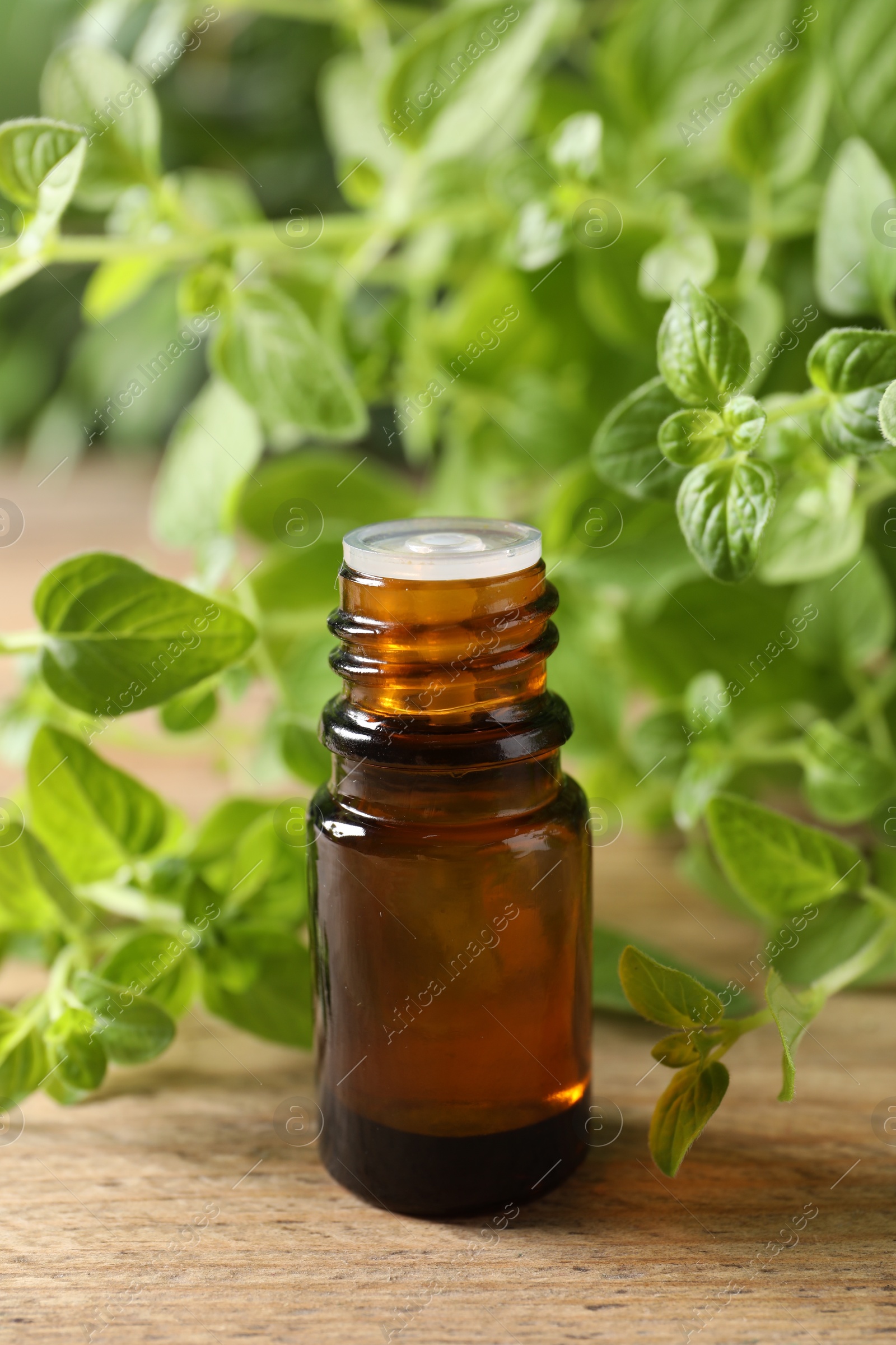 Photo of Essential oil in bottle and oregano twigs on wooden table, closeup