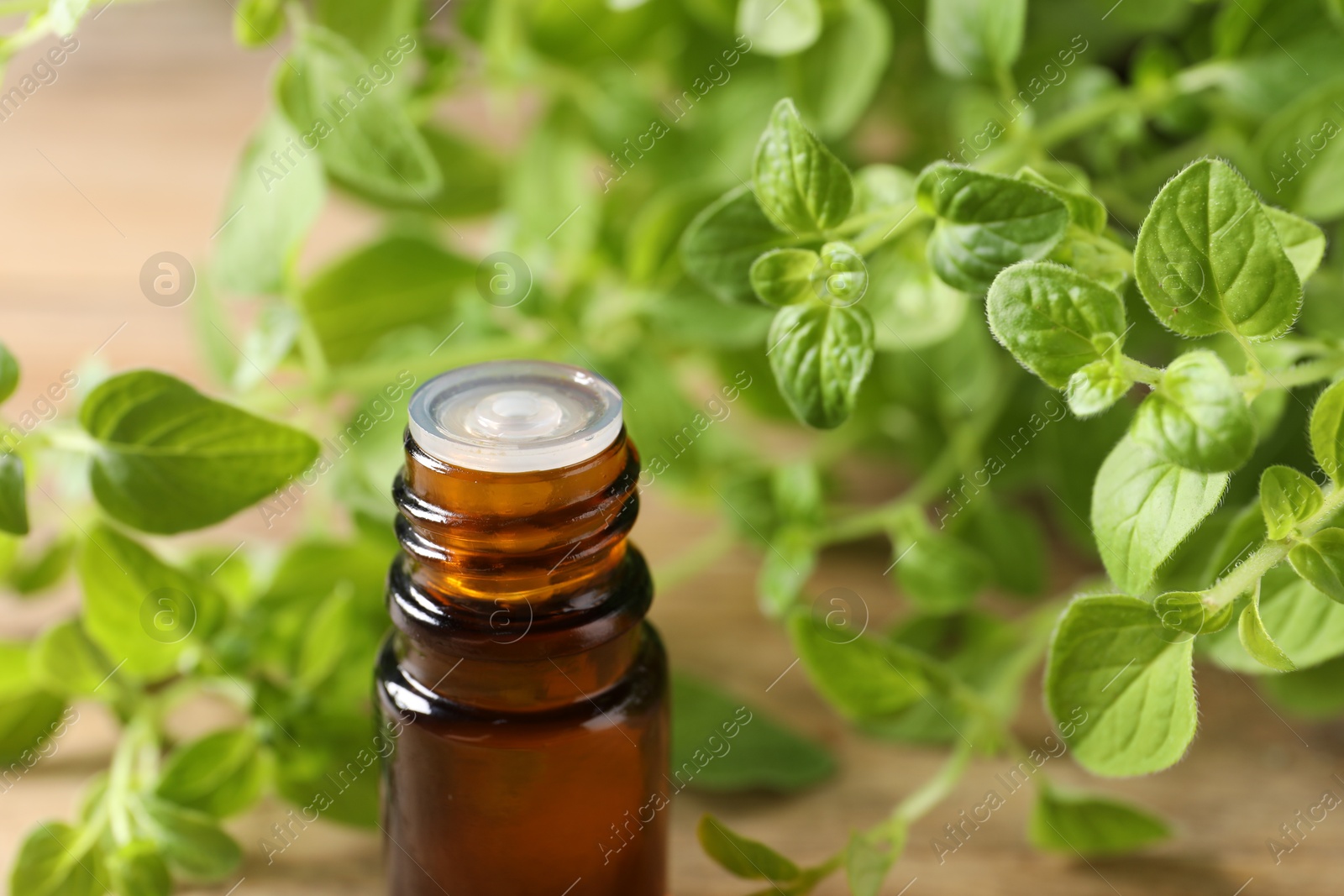 Photo of Essential oil in bottle and oregano twigs on table, closeup