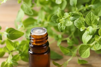 Essential oil in bottle and oregano twigs on table, closeup