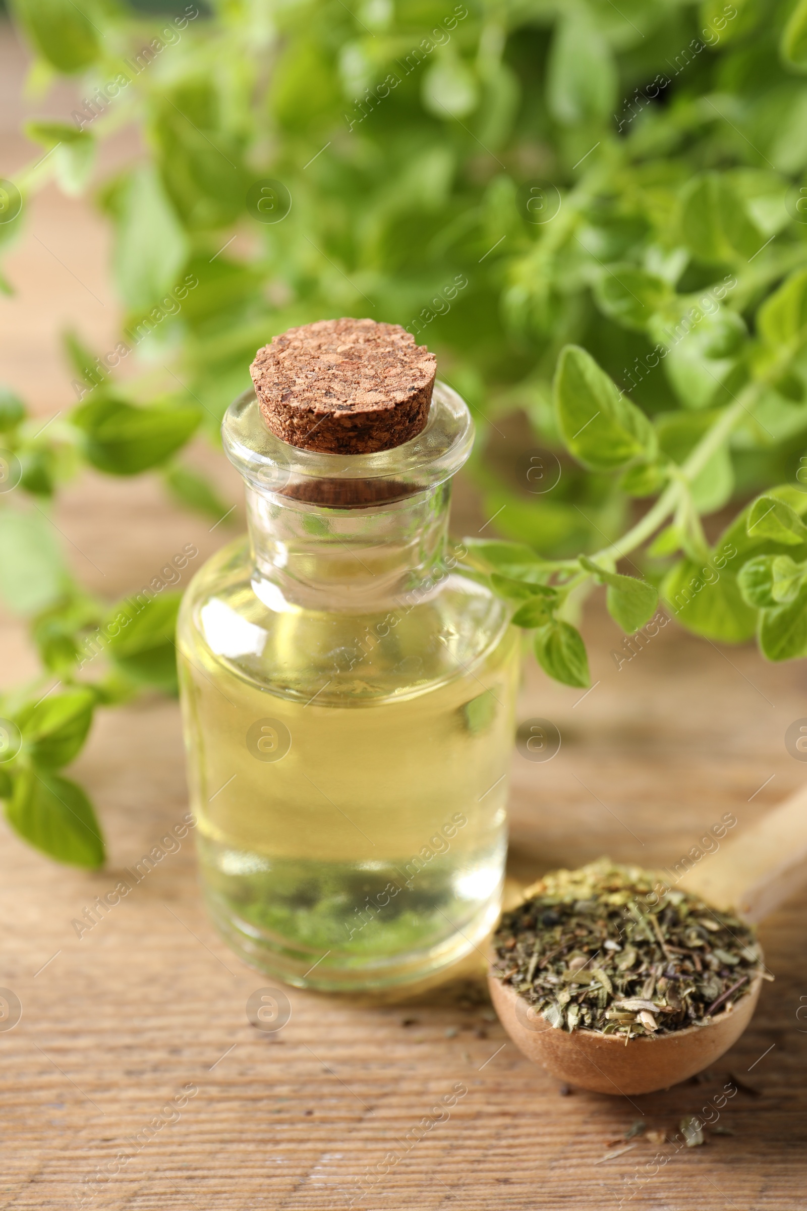 Photo of Essential oil in bottle, spoon with dry herb and oregano twigs on wooden table, closeup