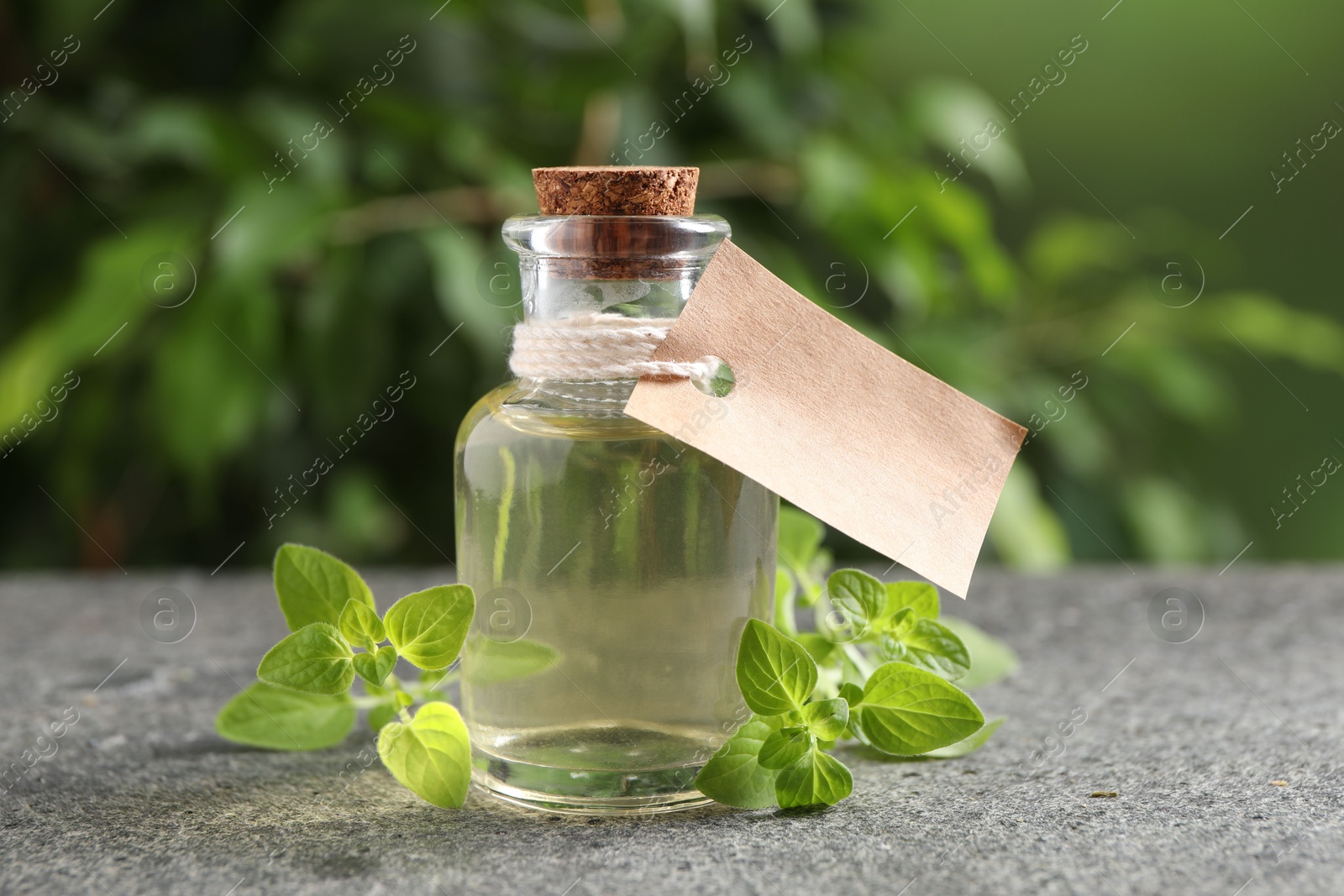 Photo of Essential oil in bottle, empty tag and oregano twigs on grey textured table against blurred green background, closeup