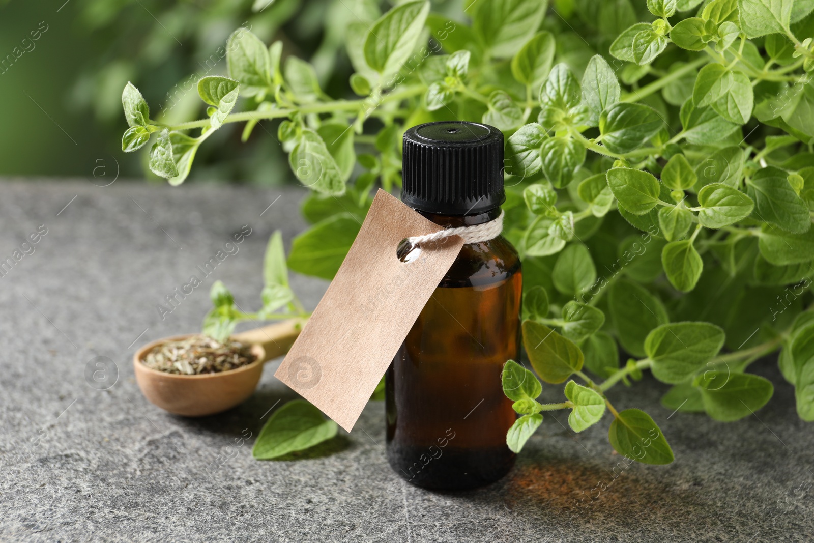 Photo of Essential oil in bottle with empty tag and oregano plant on grey textured table, closeup