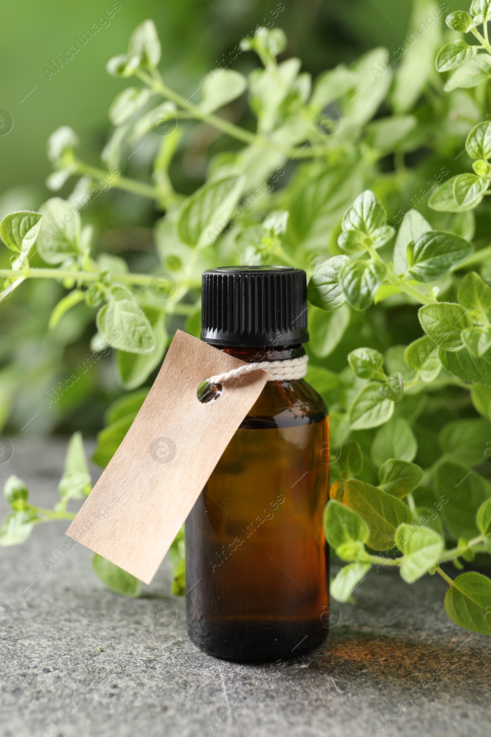 Photo of Essential oil in bottle with empty tag and oregano plant on grey textured table, closeup