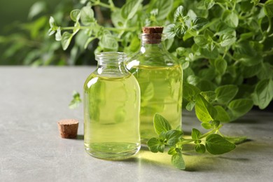 Photo of Essential oil in bottles and oregano twigs on light grey textured table, closeup