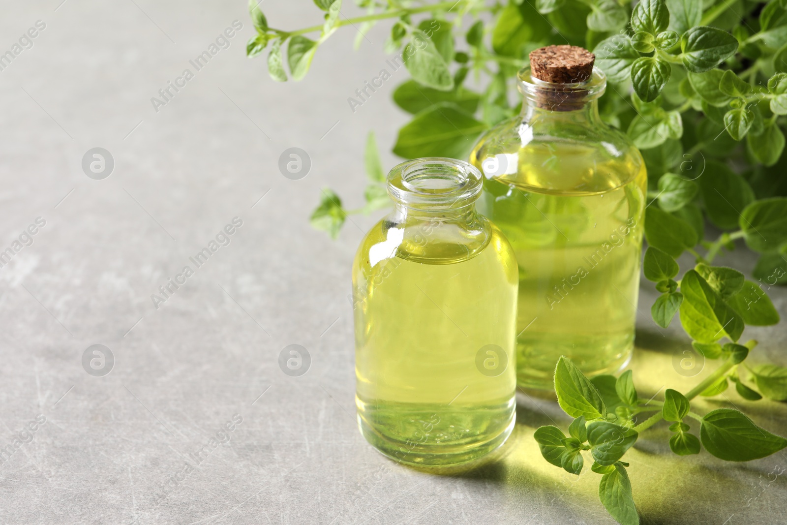 Photo of Essential oil in bottles and oregano twigs on light grey textured table, closeup. Space for text