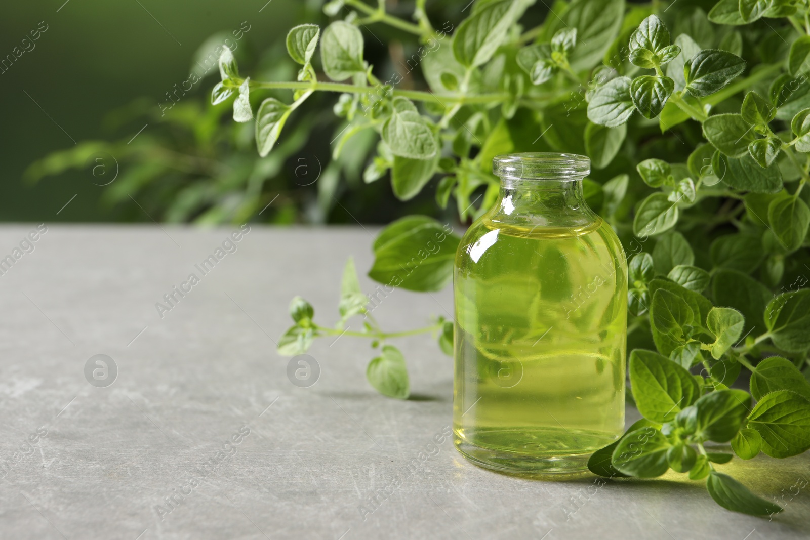 Photo of Essential oil in bottle and oregano twigs on light grey textured table against blurred green background, closeup. Space for text