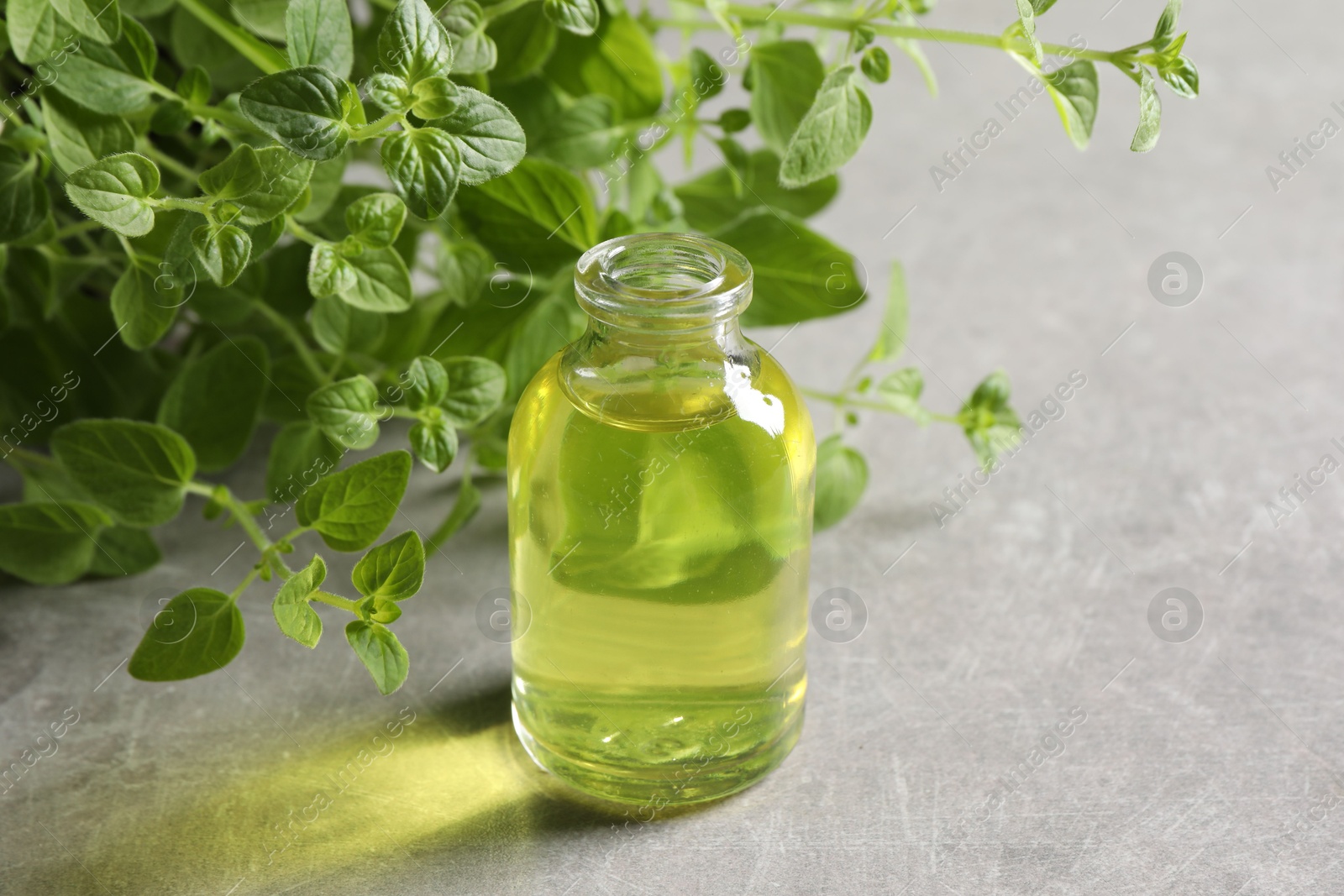 Photo of Essential oil in bottle and oregano twigs on light grey textured table, closeup. Space for text