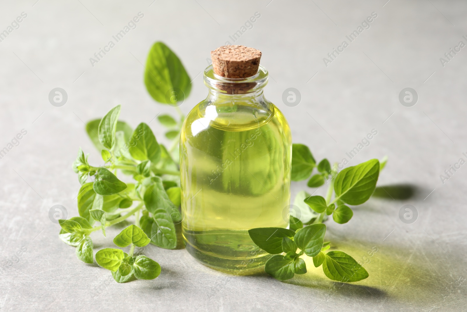 Photo of Essential oil in bottle and oregano twigs on light grey textured table, closeup