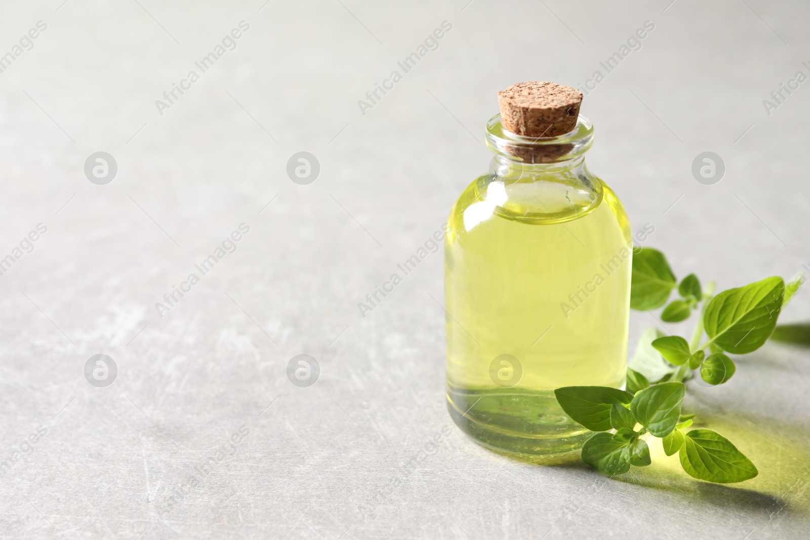 Photo of Essential oil in bottle and oregano twig on light grey textured table, closeup. Space for text