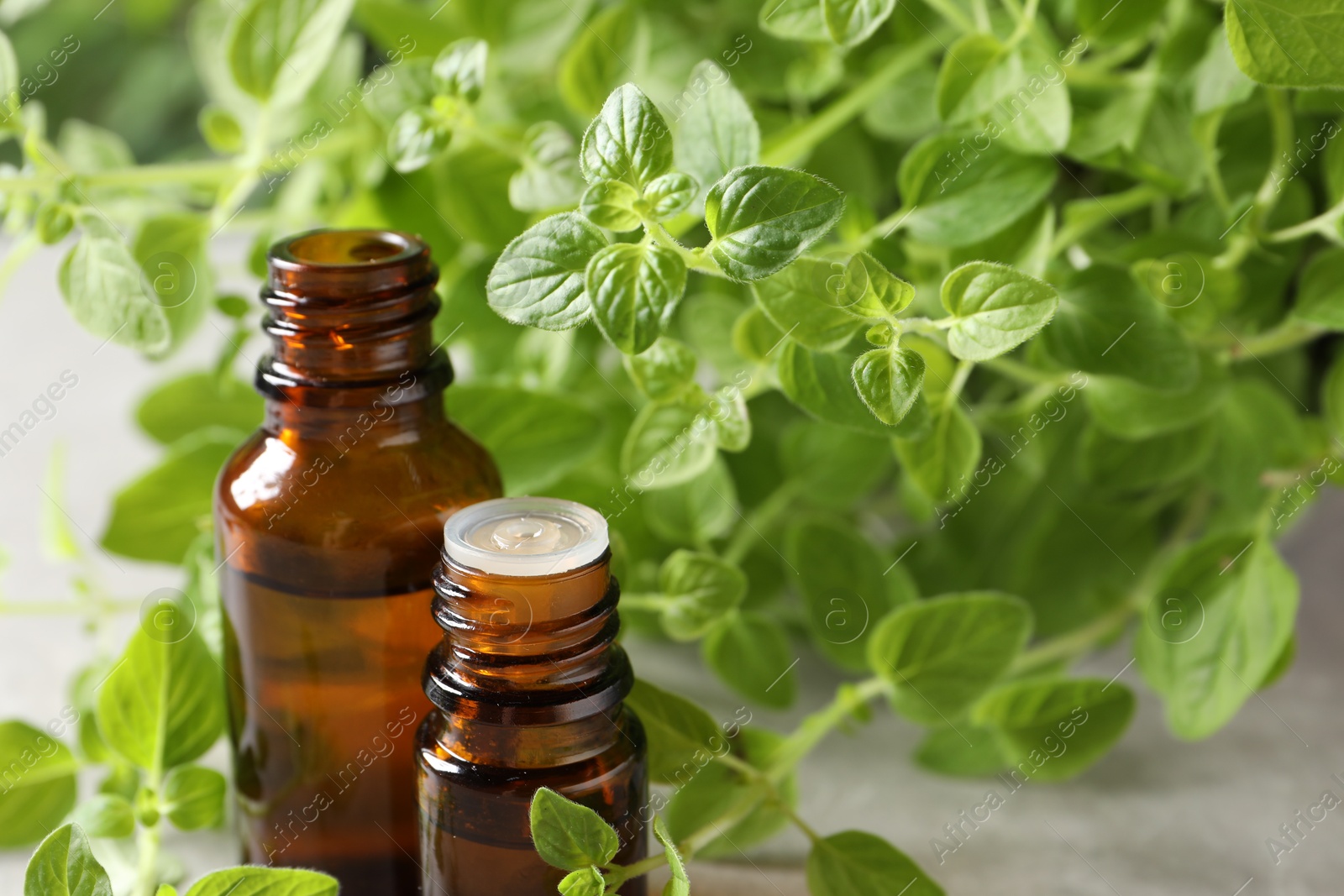 Photo of Essential oil in bottles and oregano twigs on table, closeup