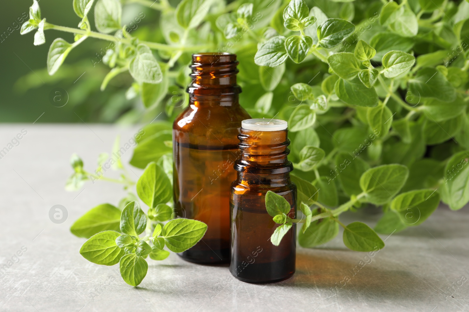 Photo of Essential oil in bottles and oregano twigs on light grey textured table, closeup