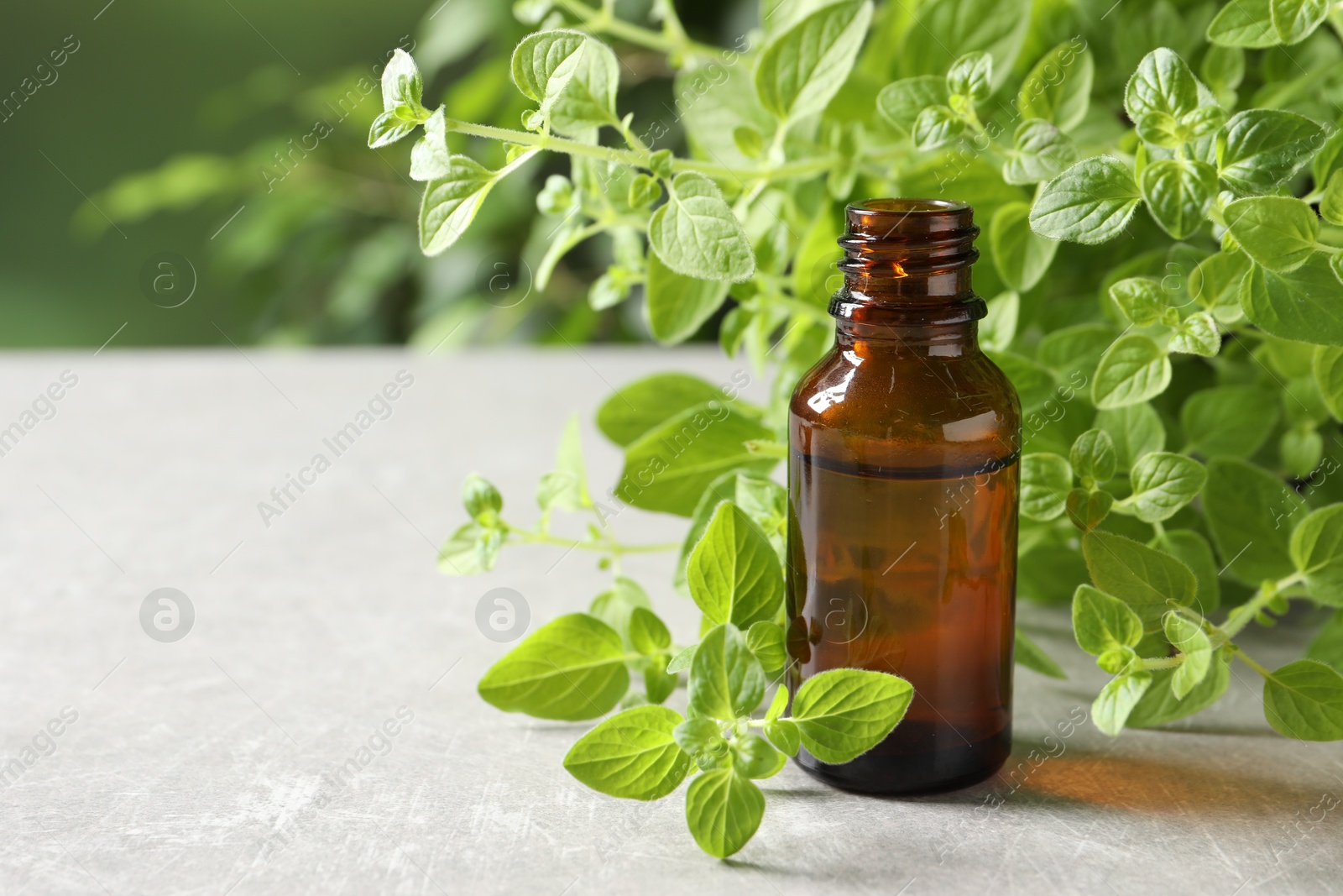 Photo of Essential oil in bottle and oregano twigs on light grey textured table, closeup. Space for text