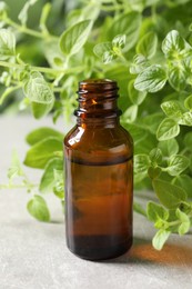 Essential oil in bottle and oregano twigs on light grey textured table, closeup