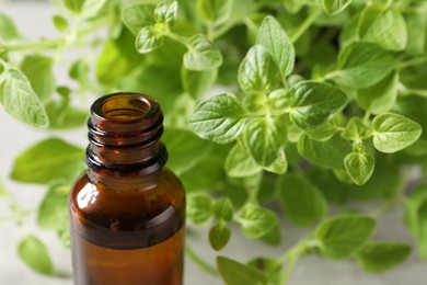 Essential oil in bottle and oregano twigs on table, closeup