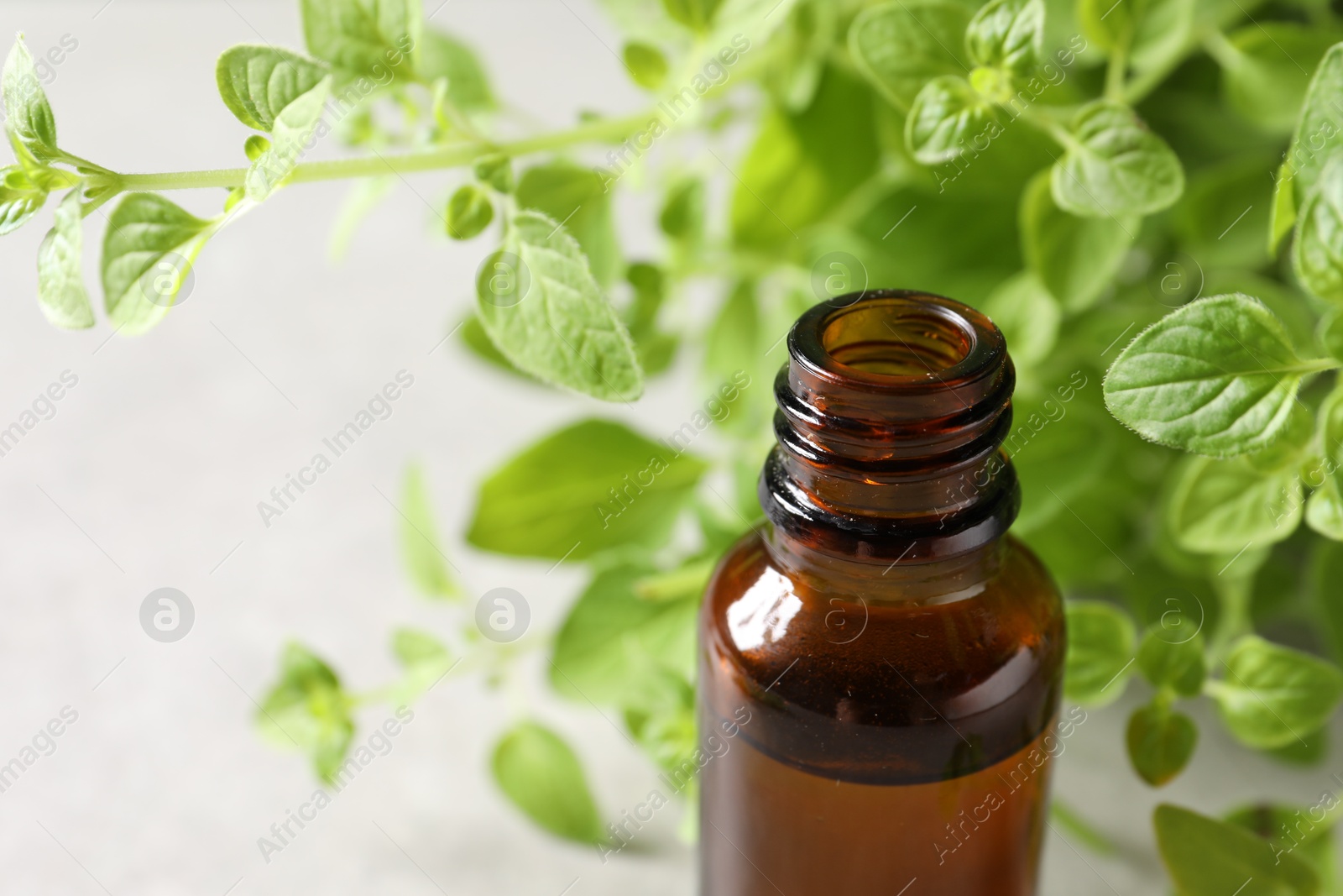 Photo of Essential oil in bottle and oregano twigs on light table, closeup